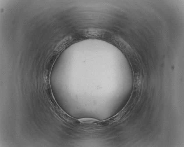 X0000083020749200702231837