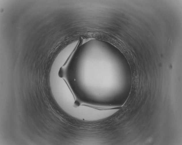 X0000083020750200702231837