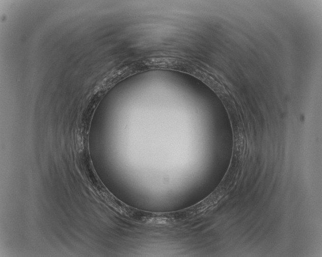 X0000083020751200702231837