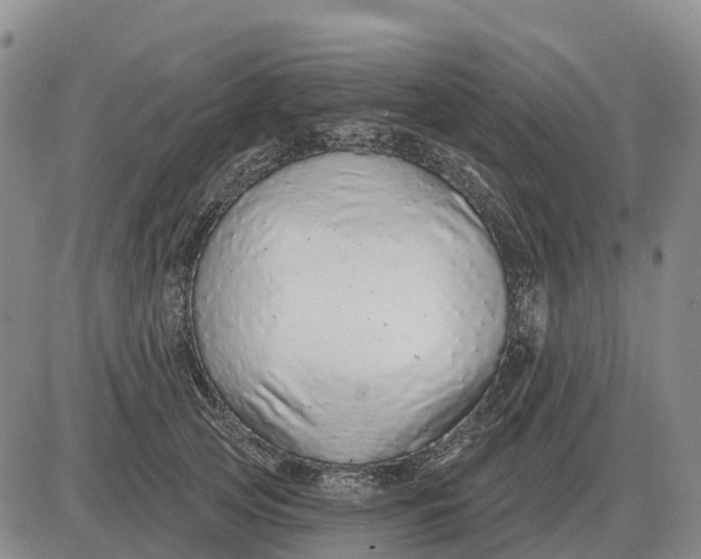 X0000083020753200702231837