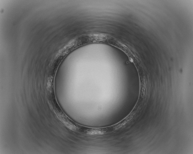 X0000083020759200702231838
