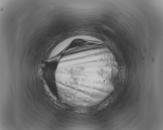 X0000083020761200702231838