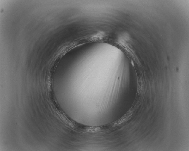 X0000083020762200702231838