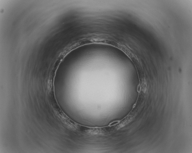 X0000083020763200702231838