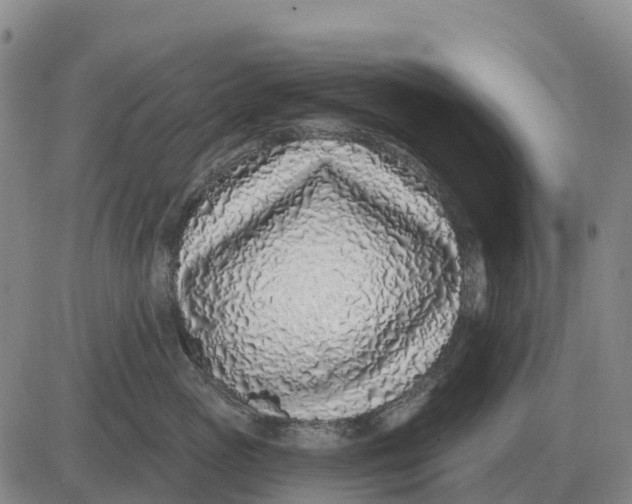 X0000083020765200702231838