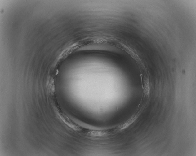 X0000083020766200702231838