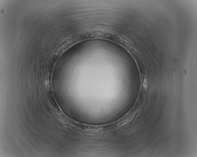 X0000083020771200702231837
