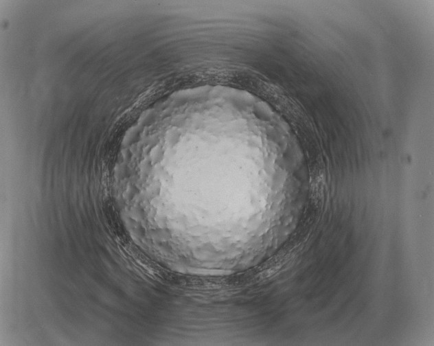 X0000083020772200702231837