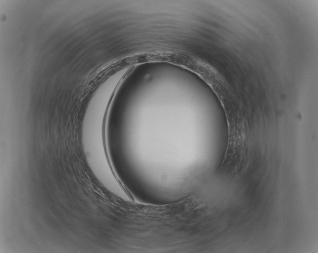 X0000083020773200702231837