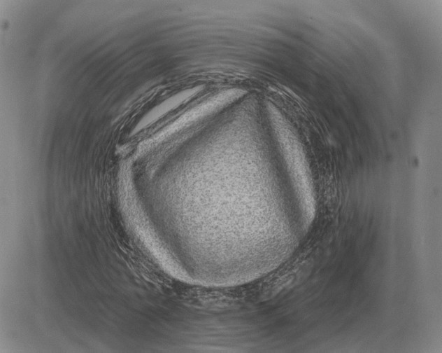 X0000083020774200702231837