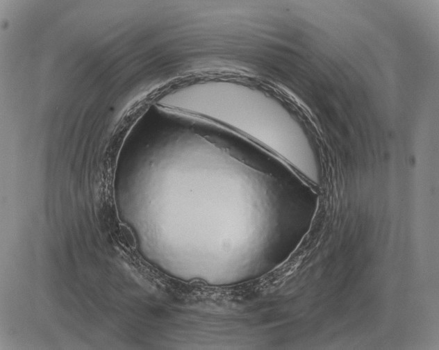 X0000083020775200702231837