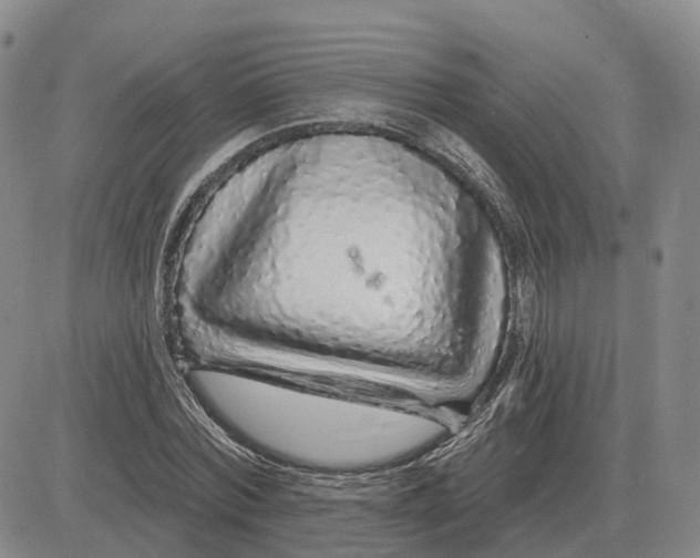X0000083020780200702231837