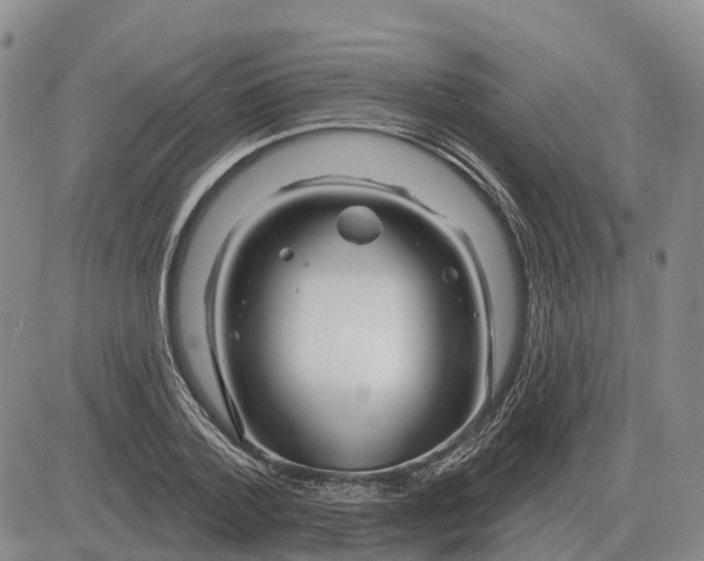X0000083020788200702231837
