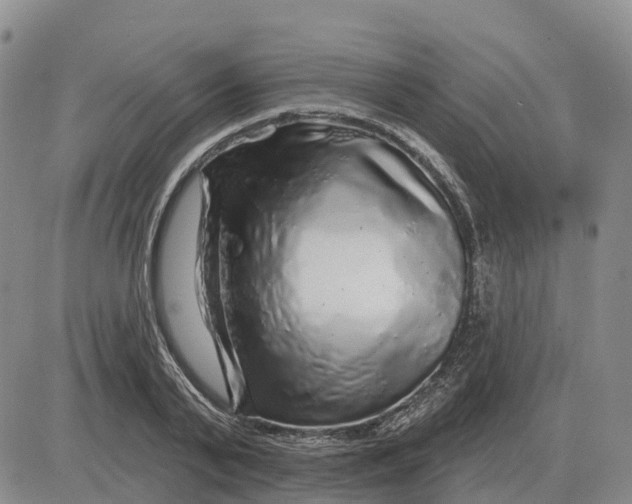 X0000083020791200702231837
