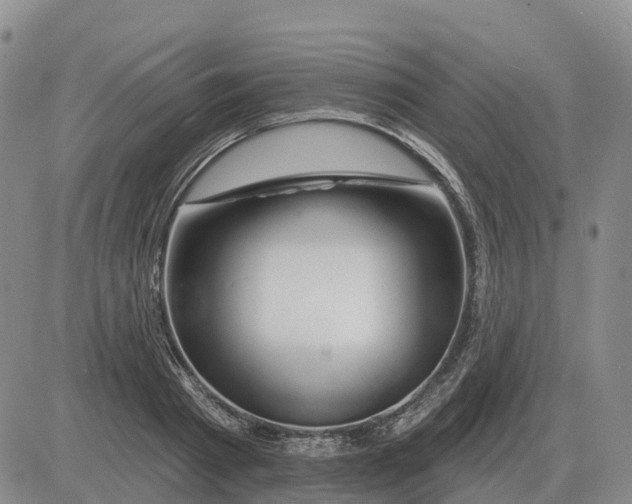 X0000083020793200702231837