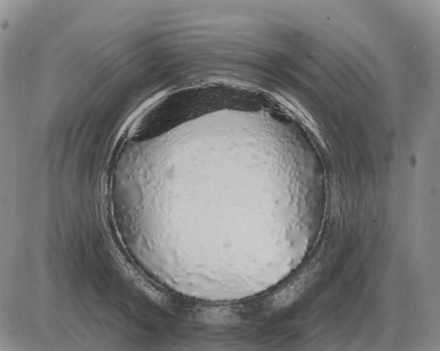 X0000083020798200702231836