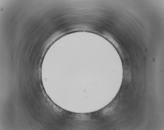 X0000083020807200702231836