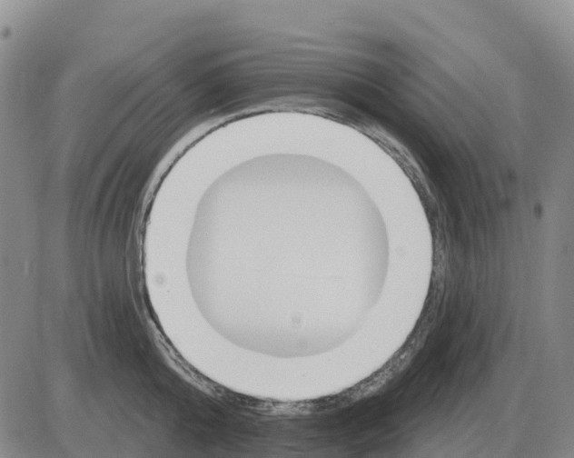X0000083020808200702231836