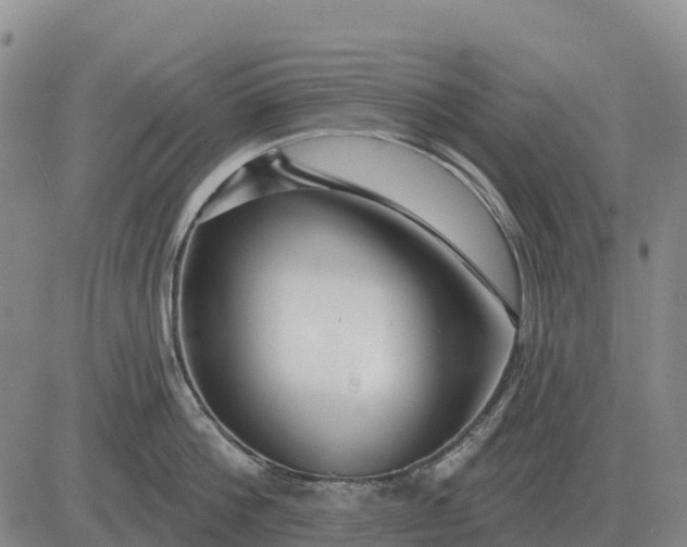 X0000083020812200702231836