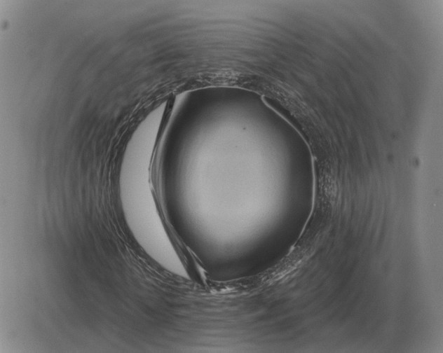 X0000083020818200702231835