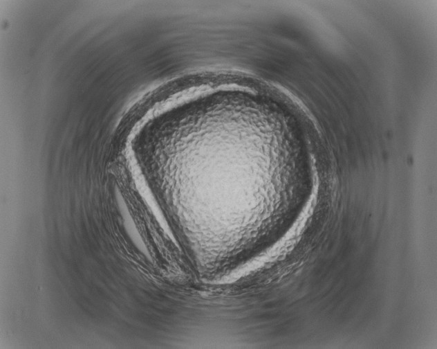 X0000083020823200702231835