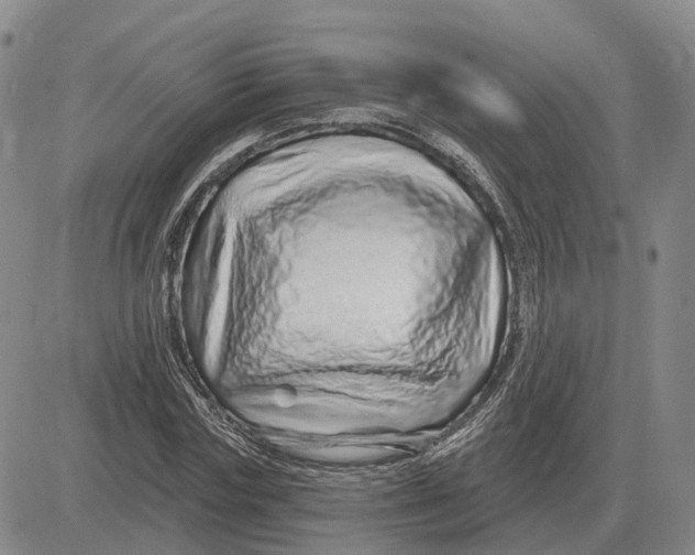 X0000083020827200702231835