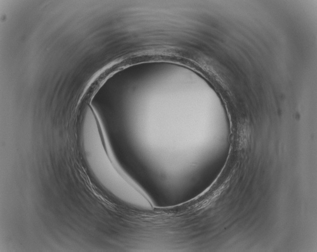 X0000083020830200702231836