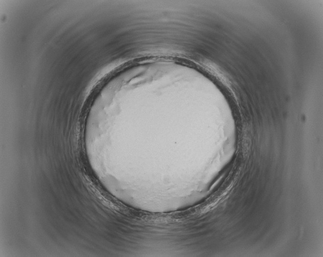 X0000083020831200702231836