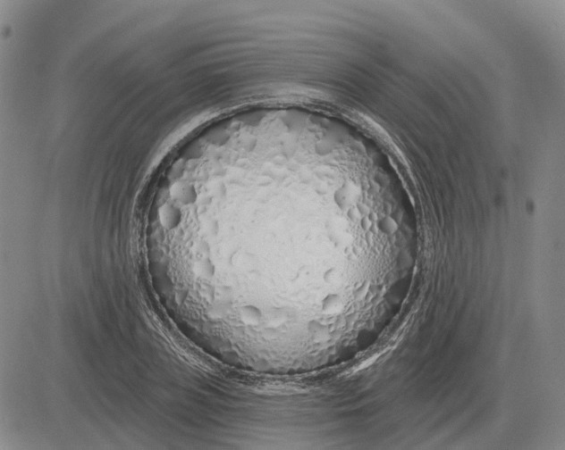 X0000083020835200702231836
