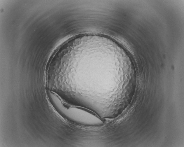 X0000083020839200702231836