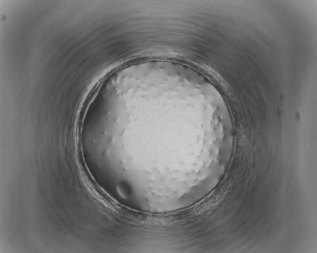 X0000083020840200702231836
