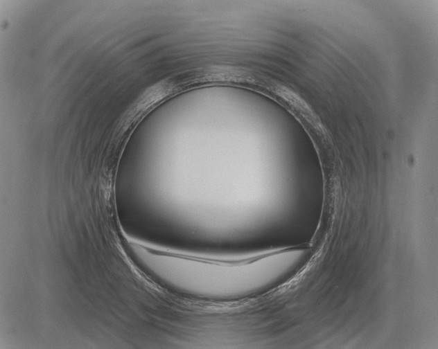 X0000083020841200702231836