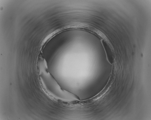 X0000083020842200702231836
