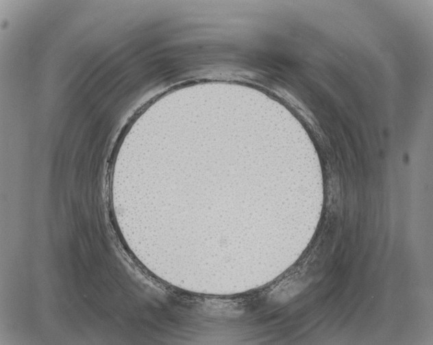 X0000083020848200702231836