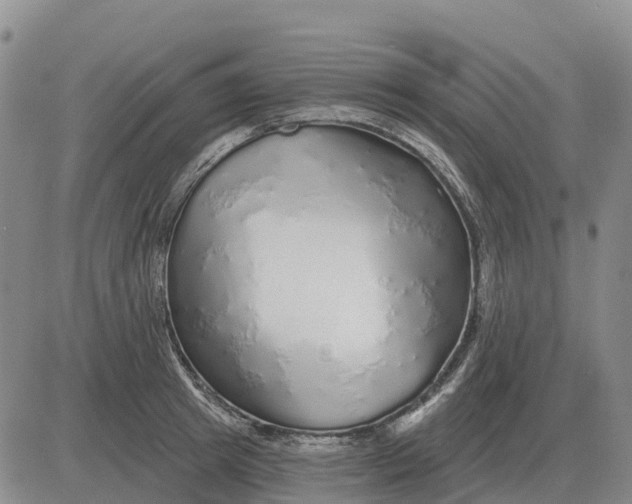X0000083020849200702231836