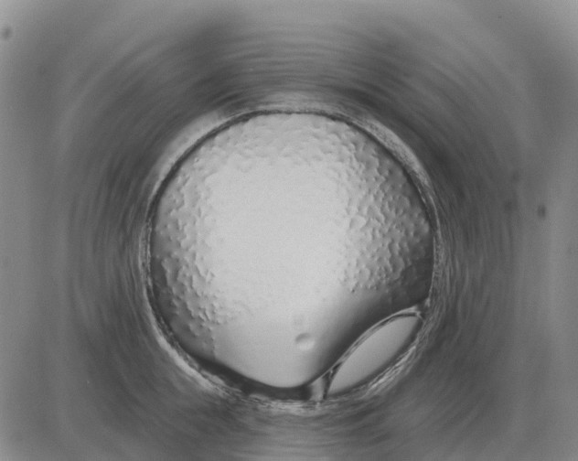 X0000083020855200702231836