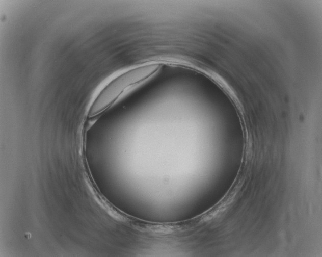 X0000083020862200702231836