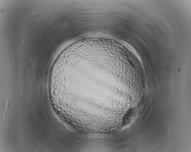X0000083020863200702231836