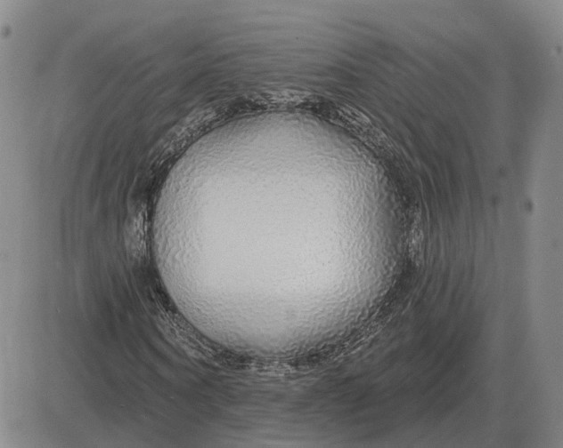 X0000083020866200702231835