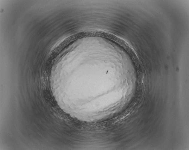 X0000083020871200702231835