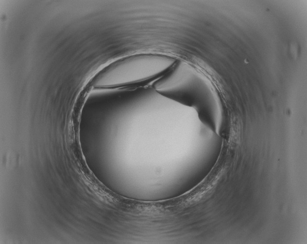 X0000083020876200702231835