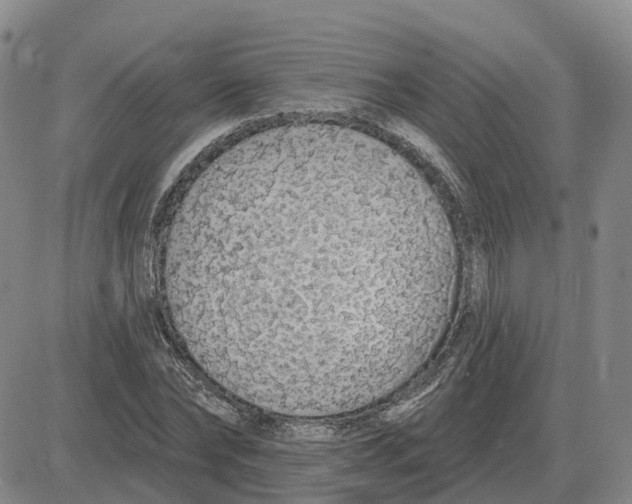 X0000083020878200702231835
