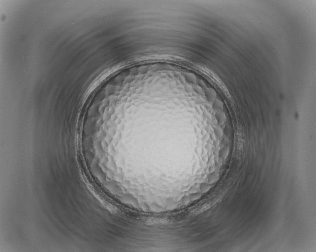 X0000083020890200702231835
