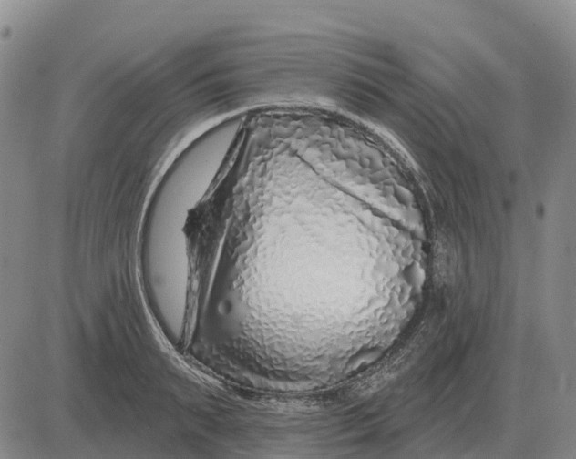 X0000083020895200702231835