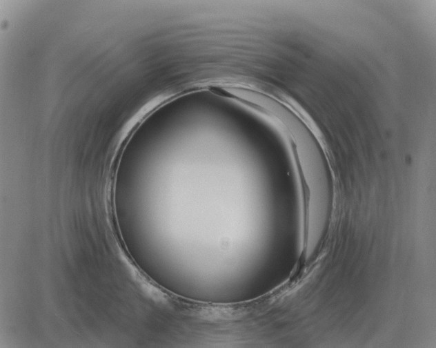 X0000083020909200702231835