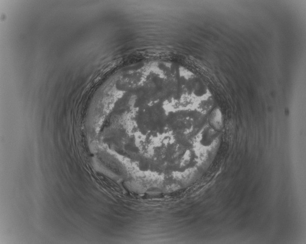X0000083020913200702231834