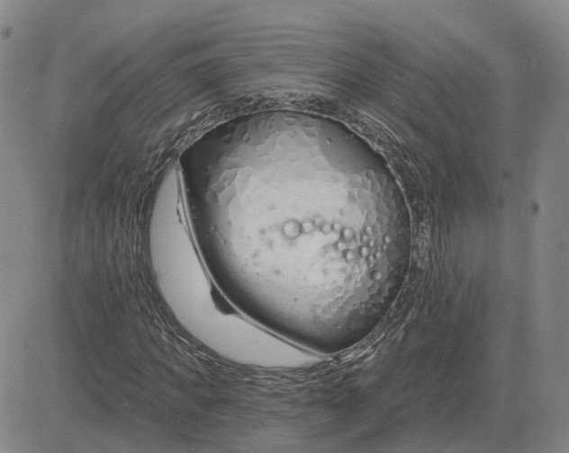 X0000083020917200702231834