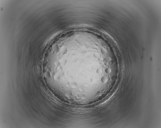 X0000083020921200702231834