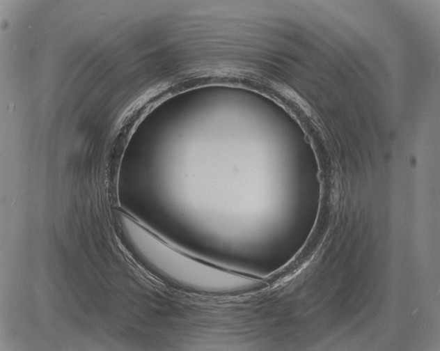 X0000083020922200702231834
