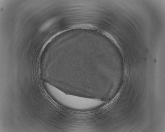 X0000083020923200702231834